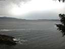 ./images/koeye/fitz-hugh/20200927/fitz-hugh20200927_072501.jpg