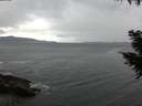 ./images/koeye/fitz-hugh/20200927/fitz-hugh20200927_073501.jpg