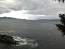 ./images/koeye/fitz-hugh/20200927/fitz-hugh20200927_074501.jpg