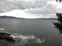 ./images/koeye/fitz-hugh/20200927/fitz-hugh20200927_075001.jpg