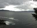 ./images/koeye/fitz-hugh/20200927/fitz-hugh20200927_080501.jpg