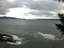 ./images/koeye/fitz-hugh/20200927/fitz-hugh20200927_081501.jpg