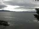 ./images/koeye/fitz-hugh/20200927/fitz-hugh20200927_082501.jpg