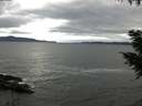 ./images/koeye/fitz-hugh/20200927/fitz-hugh20200927_083501.jpg