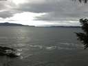 ./images/koeye/fitz-hugh/20200927/fitz-hugh20200927_084002.jpg