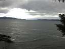 ./images/koeye/fitz-hugh/20200927/fitz-hugh20200927_084501.jpg
