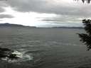./images/koeye/fitz-hugh/20200927/fitz-hugh20200927_085002.jpg