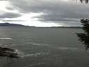 ./images/koeye/fitz-hugh/20200927/fitz-hugh20200927_090502.jpg