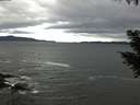 ./images/koeye/fitz-hugh/20200927/fitz-hugh20200927_091002.jpg