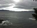 ./images/koeye/fitz-hugh/20200927/fitz-hugh20200927_091502.jpg