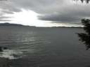 ./images/koeye/fitz-hugh/20200927/fitz-hugh20200927_093502.jpg