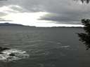./images/koeye/fitz-hugh/20200927/fitz-hugh20200927_094002.jpg
