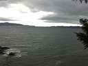 ./images/koeye/fitz-hugh/20200927/fitz-hugh20200927_094502.jpg