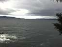 ./images/koeye/fitz-hugh/20200927/fitz-hugh20200927_100001.jpg