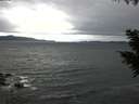 ./images/koeye/fitz-hugh/20200927/fitz-hugh20200927_100501.jpg