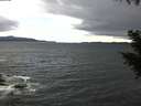 ./images/koeye/fitz-hugh/20200927/fitz-hugh20200927_102001.jpg