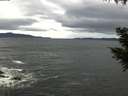 ./images/koeye/fitz-hugh/20200927/fitz-hugh20200927_105501.jpg