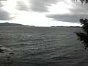 ./images/koeye/fitz-hugh/20200927/fitz-hugh20200927_112501.jpg