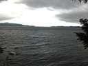 ./images/koeye/fitz-hugh/20200927/fitz-hugh20200927_113501.jpg
