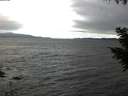 ./images/koeye/fitz-hugh/20200927/fitz-hugh20200927_114001.jpg