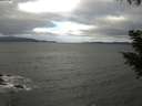 ./images/koeye/fitz-hugh/20200927/fitz-hugh20200927_120502.jpg