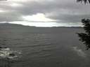 ./images/koeye/fitz-hugh/20200927/fitz-hugh20200927_122502.jpg
