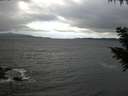 ./images/koeye/fitz-hugh/20200927/fitz-hugh20200927_123502.jpg