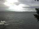 ./images/koeye/fitz-hugh/20200927/fitz-hugh20200927_125002.jpg