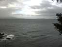 ./images/koeye/fitz-hugh/20200927/fitz-hugh20200927_125502.jpg