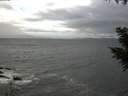 ./images/koeye/fitz-hugh/20200927/fitz-hugh20200927_130501.jpg