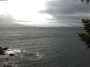 ./images/koeye/fitz-hugh/20200927/fitz-hugh20200927_131001.jpg