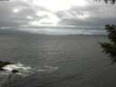 ./images/koeye/fitz-hugh/20200927/fitz-hugh20200927_132501.jpg
