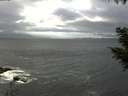 ./images/koeye/fitz-hugh/20200927/fitz-hugh20200927_133501.jpg