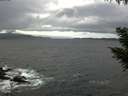 ./images/koeye/fitz-hugh/20200927/fitz-hugh20200927_134501.jpg