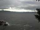 ./images/koeye/fitz-hugh/20200927/fitz-hugh20200927_135001.jpg
