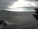 ./images/koeye/fitz-hugh/20200927/fitz-hugh20200927_135501.jpg