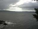 ./images/koeye/fitz-hugh/20200927/fitz-hugh20200927_140001.jpg