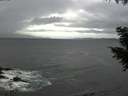 ./images/koeye/fitz-hugh/20200927/fitz-hugh20200927_140501.jpg