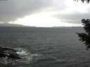./images/koeye/fitz-hugh/20200927/fitz-hugh20200927_143501.jpg