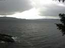 ./images/koeye/fitz-hugh/20200927/fitz-hugh20200927_145001.jpg