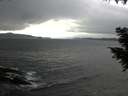 ./images/koeye/fitz-hugh/20200927/fitz-hugh20200927_145501.jpg