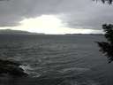 ./images/koeye/fitz-hugh/20200927/fitz-hugh20200927_150502.jpg