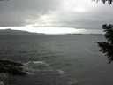./images/koeye/fitz-hugh/20200927/fitz-hugh20200927_151002.jpg