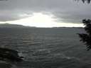 ./images/koeye/fitz-hugh/20200927/fitz-hugh20200927_152502.jpg
