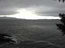 ./images/koeye/fitz-hugh/20200927/fitz-hugh20200927_153502.jpg