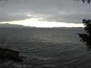 ./images/koeye/fitz-hugh/20200927/fitz-hugh20200927_154002.jpg
