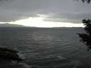 ./images/koeye/fitz-hugh/20200927/fitz-hugh20200927_154502.jpg