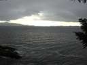 ./images/koeye/fitz-hugh/20200927/fitz-hugh20200927_155002.jpg