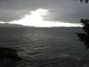 ./images/koeye/fitz-hugh/20200927/fitz-hugh20200927_155502.jpg