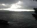 ./images/koeye/fitz-hugh/20200927/fitz-hugh20200927_160002.jpg